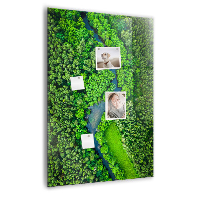 Tableau aimanté décoration Rivière dans la forêt