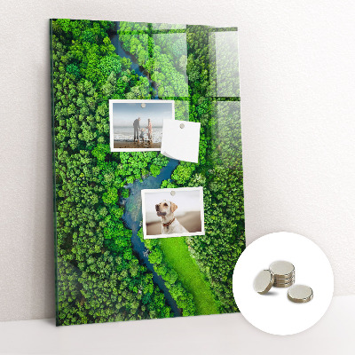 Tableau aimanté décoration Rivière dans la forêt