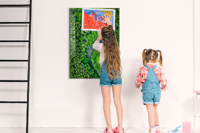 Tableau aimanté décoration Rivière dans la forêt
