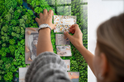 Tableau aimanté décoration Rivière dans la forêt