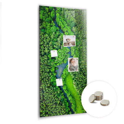 Tableau aimanté décoration Rivière dans la forêt