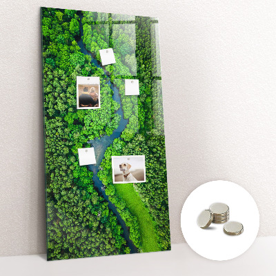 Tableau aimanté décoration Rivière dans la forêt