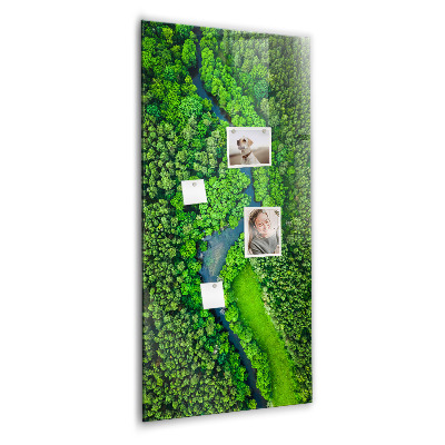 Tableau aimanté décoration Rivière dans la forêt