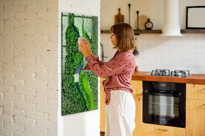 Tableau aimanté décoration Rivière dans la forêt