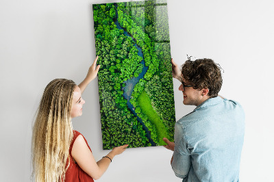Tableau aimanté décoration Rivière dans la forêt
