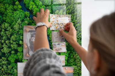 Tableau aimanté décoration Rivière dans la forêt