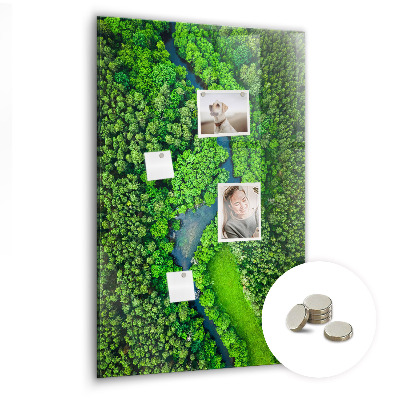 Tableau aimanté décoration Rivière dans la forêt