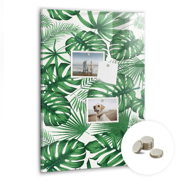 Tableau magnétique pour magnets Feuilles de plantes Monstera