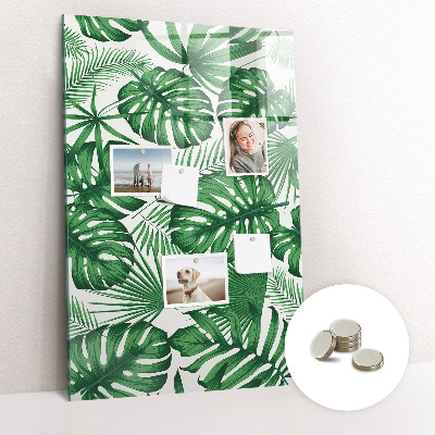 Tableau magnétique pour magnets Feuilles de plantes Monstera