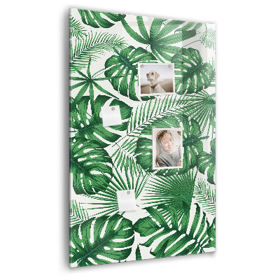 Tableau magnétique pour magnets Feuilles de plantes Monstera