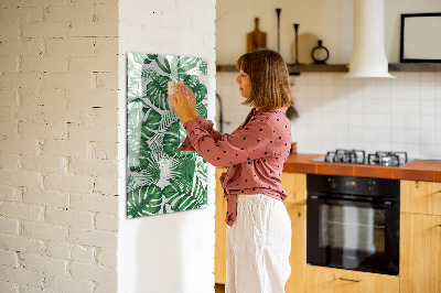 Tableau magnétique pour magnets Feuilles de plantes Monstera