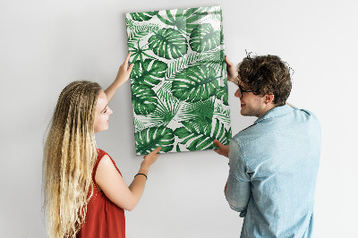 Tableau magnétique pour magnets Feuilles de plantes Monstera