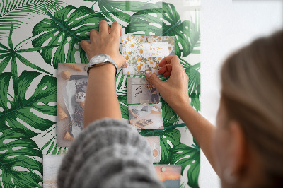 Tableau magnétique pour magnets Feuilles de plantes Monstera