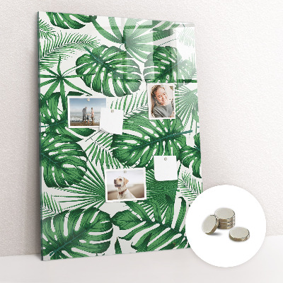 Tableau magnétique pour magnets Feuilles de plantes Monstera