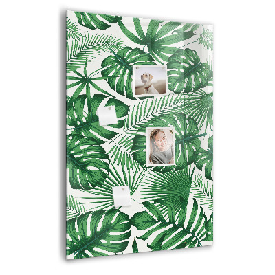 Tableau magnétique pour magnets Feuilles de plantes Monstera