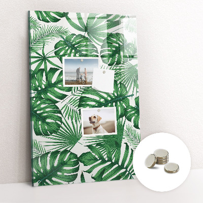 Tableau magnétique pour magnets Feuilles de plantes Monstera