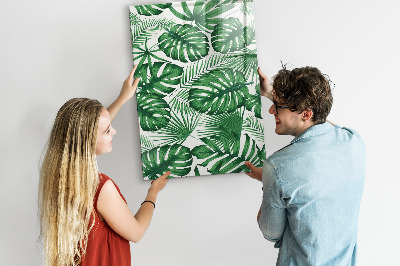 Tableau magnétique pour magnets Feuilles de plantes Monstera
