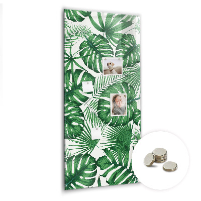 Tableau magnétique pour magnets Feuilles de plantes Monstera