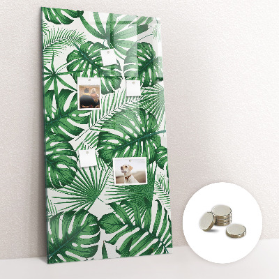 Tableau magnétique pour magnets Feuilles de plantes Monstera