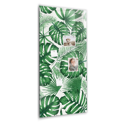 Tableau magnétique pour magnets Feuilles de plantes Monstera