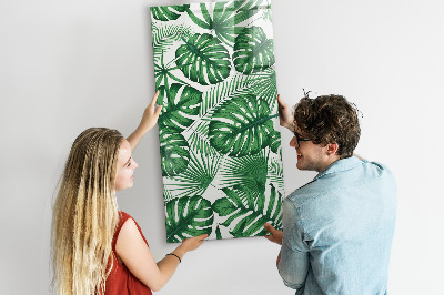 Tableau magnétique pour magnets Feuilles de plantes Monstera