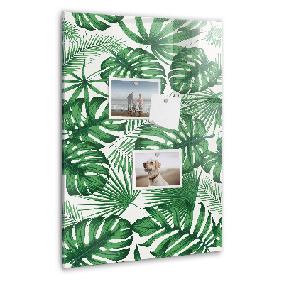 Tableau magnétique pour magnets Feuilles de plantes Monstera