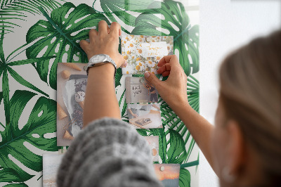 Tableau magnétique pour magnets Feuilles de plantes Monstera