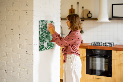 Tableau magnétique pour magnets Feuilles de plantes Monstera