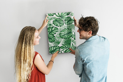 Tableau magnétique pour magnets Feuilles de plantes Monstera