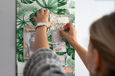 Tableau magnétique pour magnets Feuilles de plantes Monstera