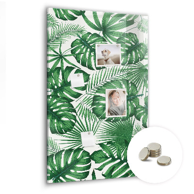 Tableau magnétique pour magnets Feuilles de plantes Monstera