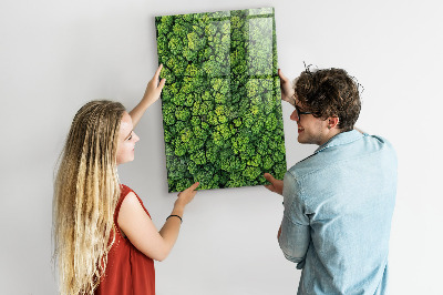 Tableau magnétique pour magnets Forêt arbres nature