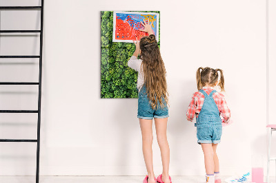 Tableau magnétique pour magnets Forêt arbres nature