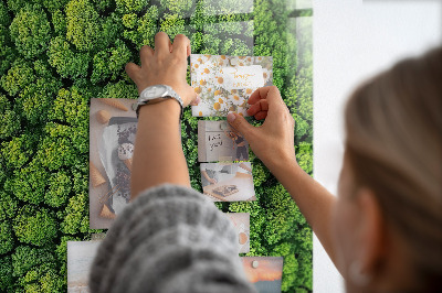 Tableau magnétique pour magnets Forêt arbres nature
