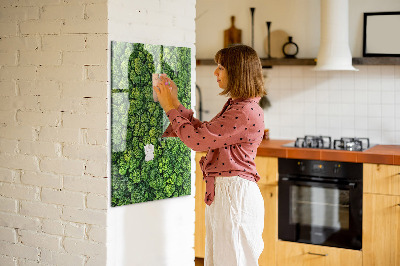 Tableau magnétique pour magnets Forêt arbres nature