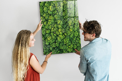 Tableau magnétique pour magnets Forêt arbres nature