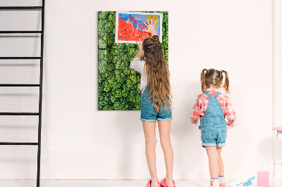 Tableau magnétique pour magnets Forêt arbres nature