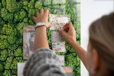 Tableau magnétique pour magnets Forêt arbres nature