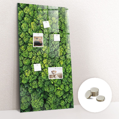 Tableau magnétique pour magnets Forêt arbres nature