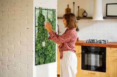 Tableau magnétique pour magnets Forêt arbres nature