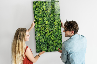 Tableau magnétique pour magnets Forêt arbres nature