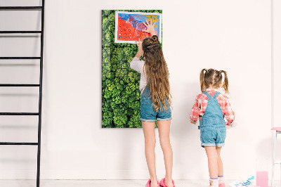 Tableau magnétique pour magnets Forêt arbres nature