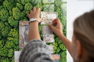 Tableau magnétique pour magnets Forêt arbres nature
