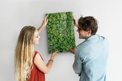 Tableau magnétique pour magnets Forêt arbres nature