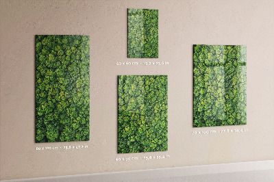 Tableau magnétique pour magnets Forêt arbres nature