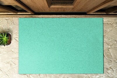 Paillasson extérieur Menthe pâle