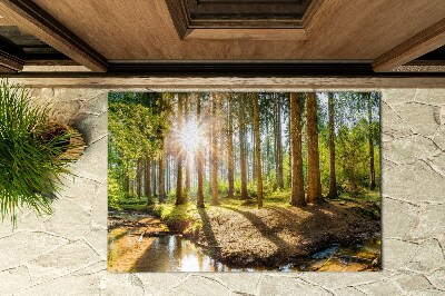 Paillasson extérieur Paysage forestier