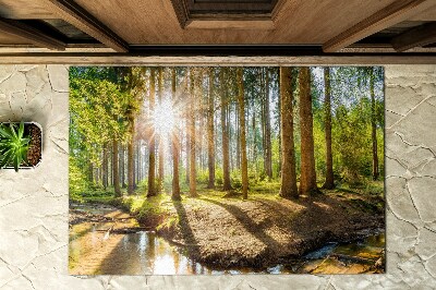 Paillasson extérieur Paysage forestier
