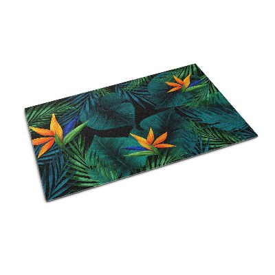 Paillasson extérieur Floristique des strelitzias