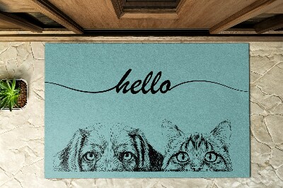 Paillasson extérieur Bonjour chien et chat